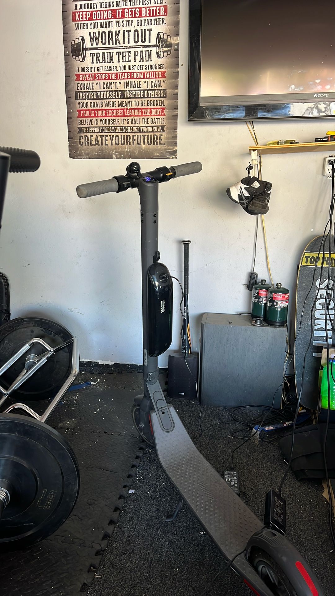 Electric Scooter