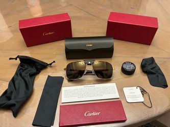 Santos de Cartier Aviator Buffalo Horn Sunglasses