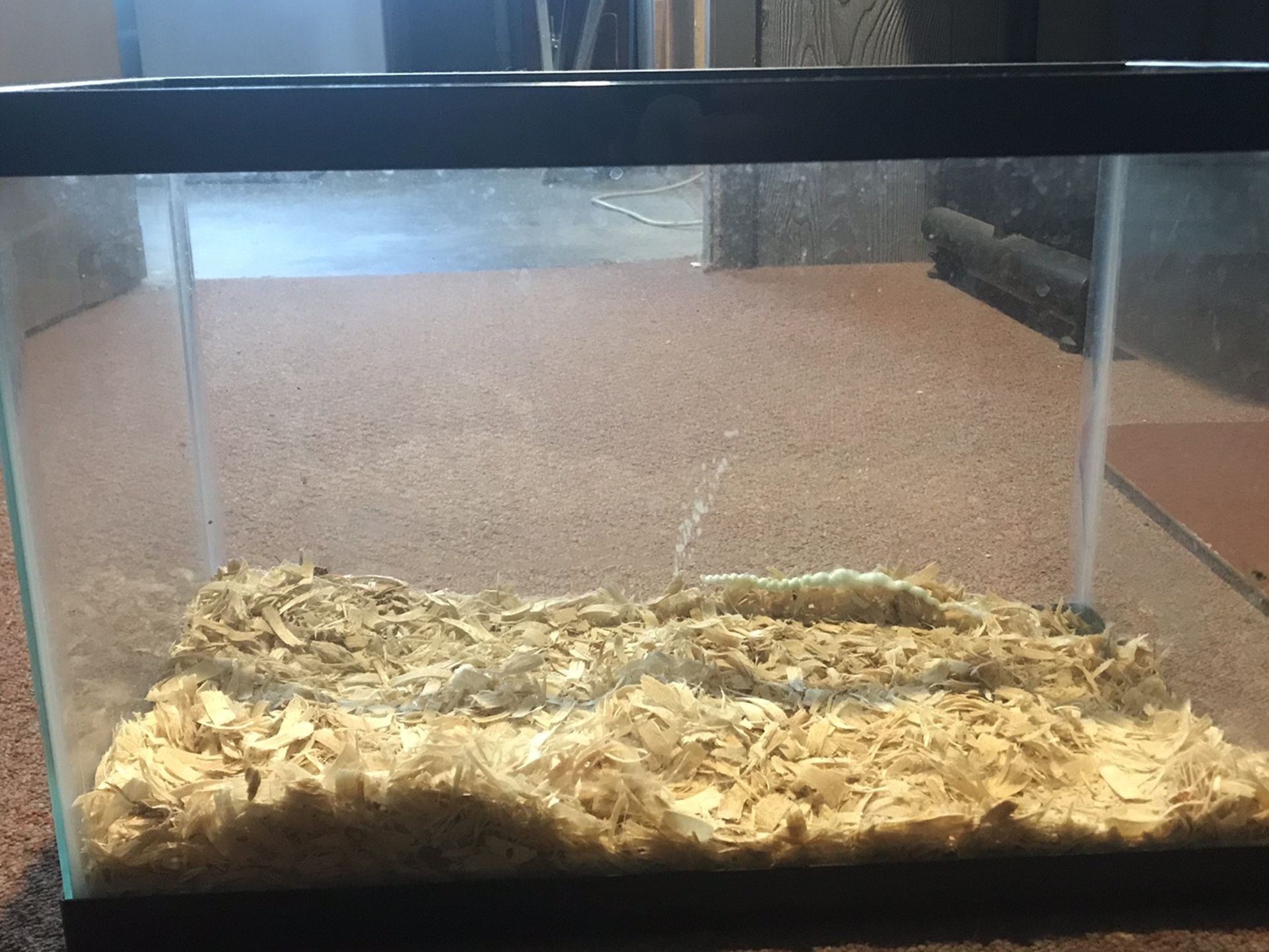 Aquarium/reptile Supplies