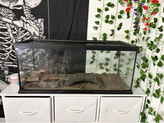 20 gallon tank and some