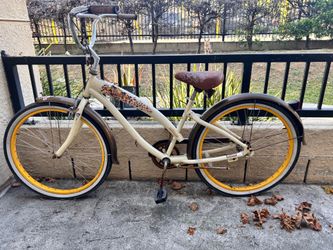 Bicycle cruiser