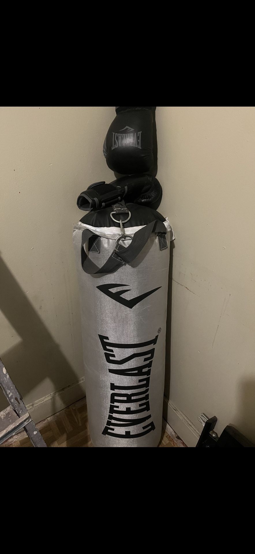 everlast punching bag with gloves