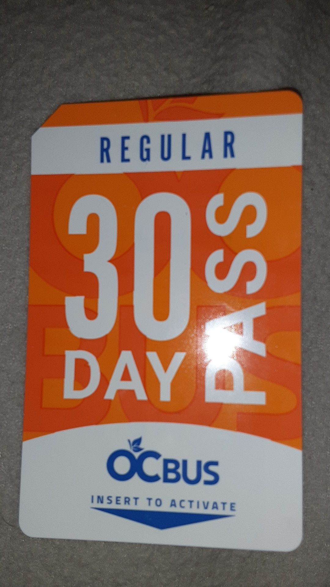30 day buss pass