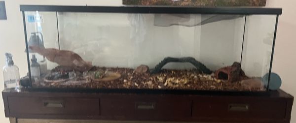 Aquarium/ Terrarium