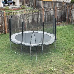 Acon Air 3.7 Extra Thick Padding and Net