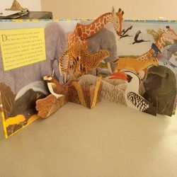 safari book with pop -ups pages