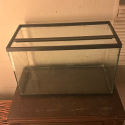 10 Gallon Glass Tank + Glass Lid