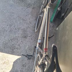 Grey,specialized,lagster,medium