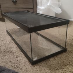 40 Gallon Tank for Reptile