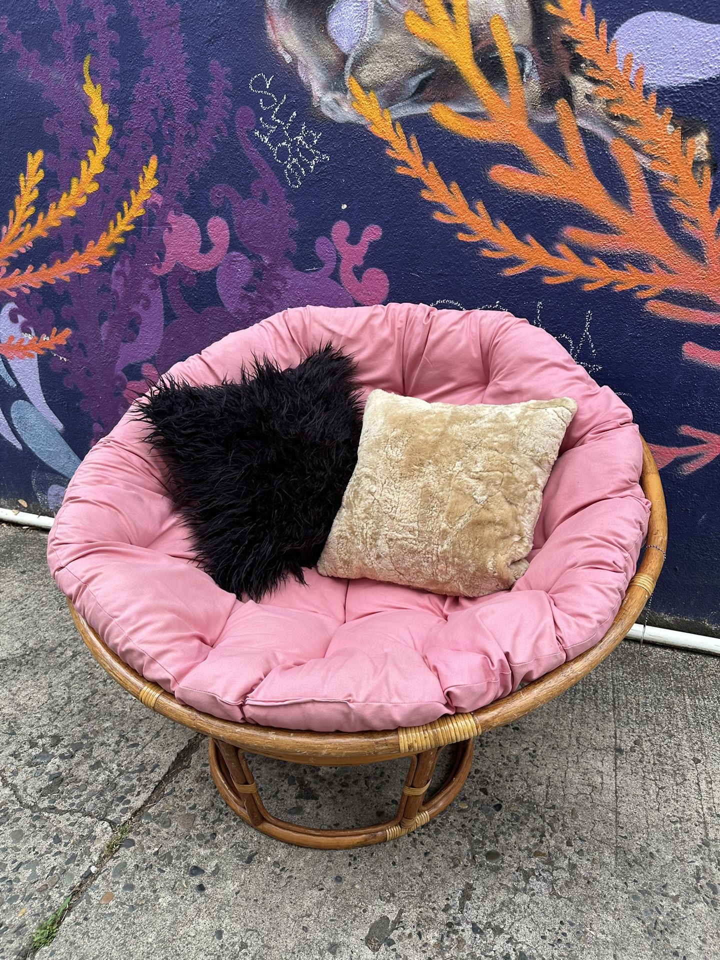 Pink Cushion Papasan Chair (3TWFCX)