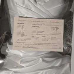Preserved Wedding Dress  *Opened 6/6/2025*