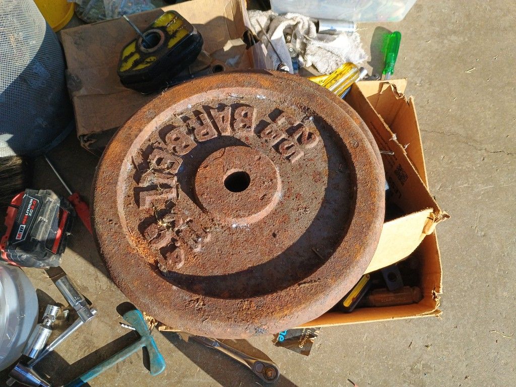 Weights 25lb  2-5lb    60 Total 