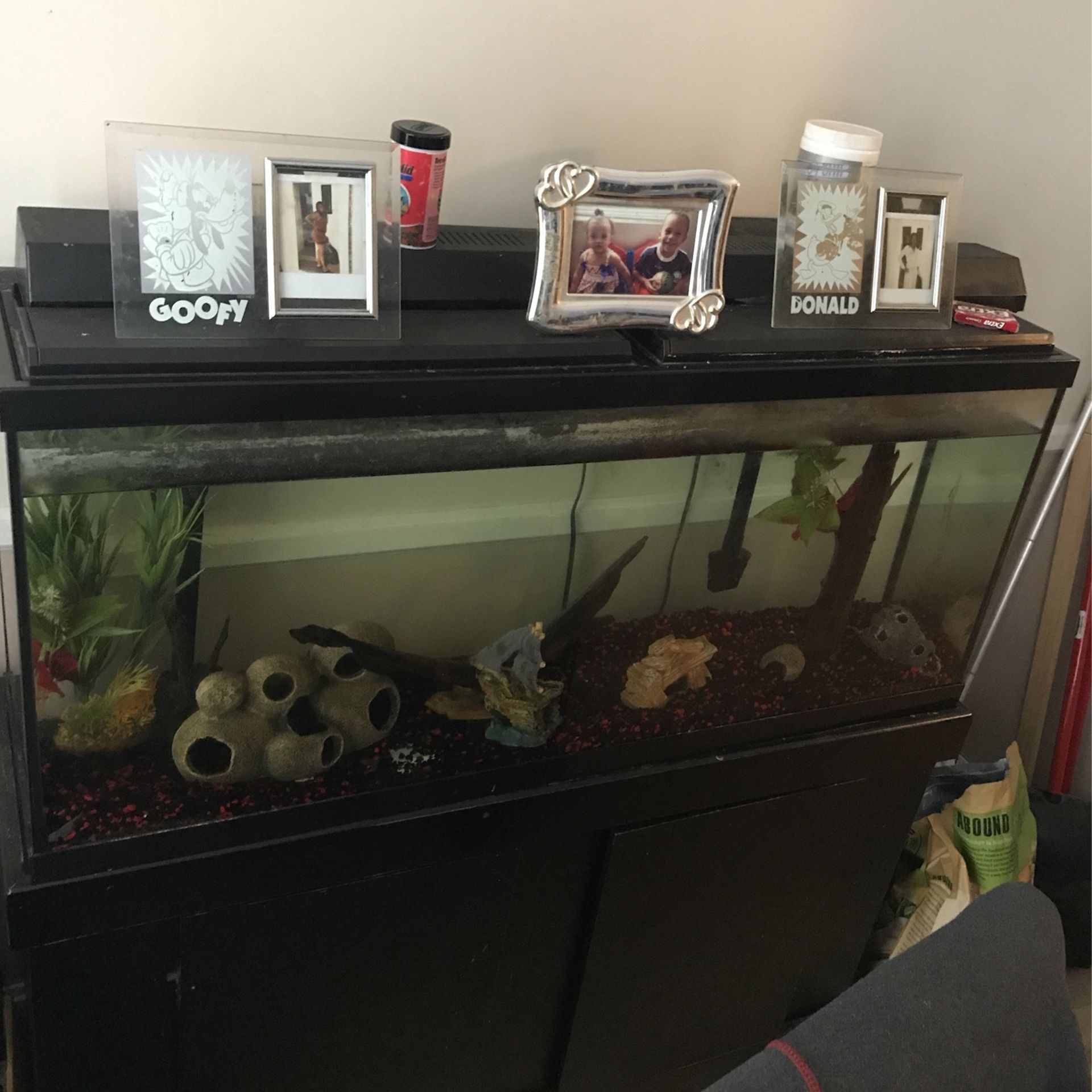 50 Gallon Fish Tank