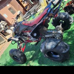 TRX 450er
