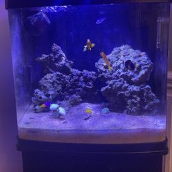 32 gallon coralife led Biocube (TANK ONLY NO LIVE STOCK)