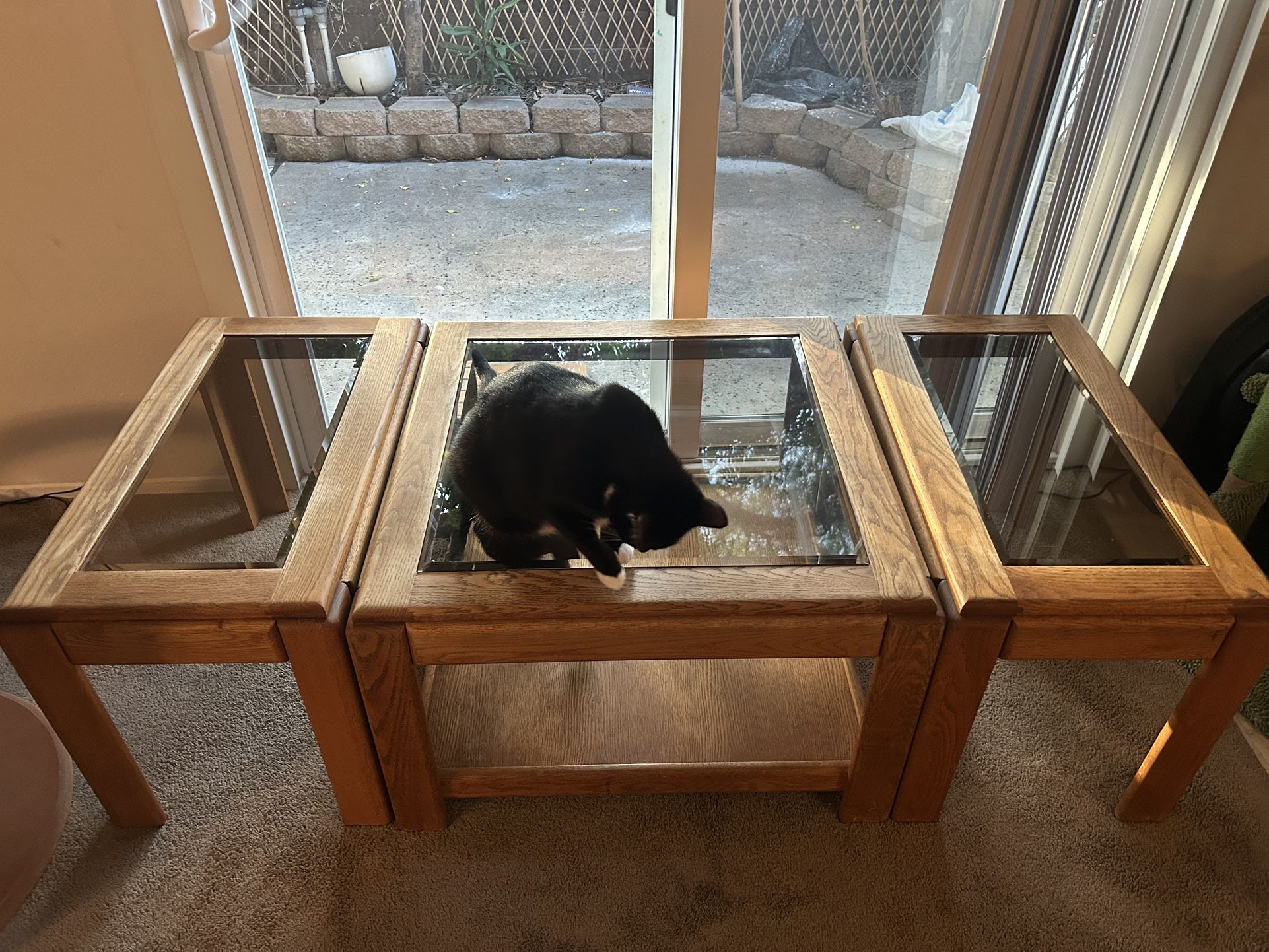 Coffee Table Set