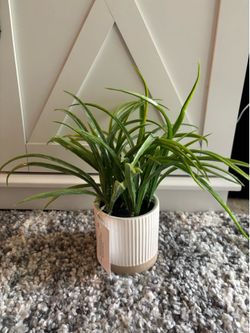 Mainstays by Becky G. & Alejandra 9.5" Artificial Grass in White Two-Tone Ribbed Ceramic Pot