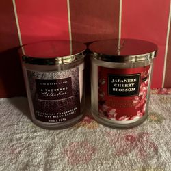 Bath & Body Works 1-wick Candles 2 / $15 