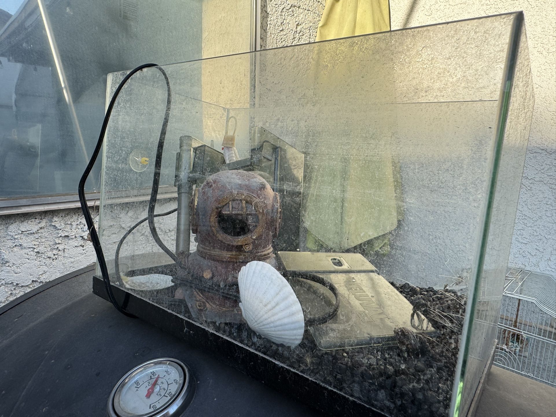Fish Tank