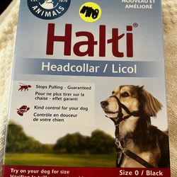 Halti Head Collar