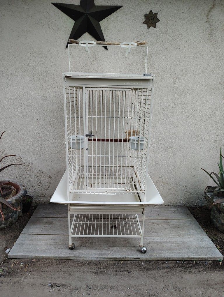 Bird Cage