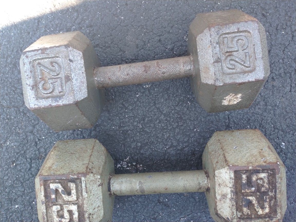 2- 25lb Barbells 