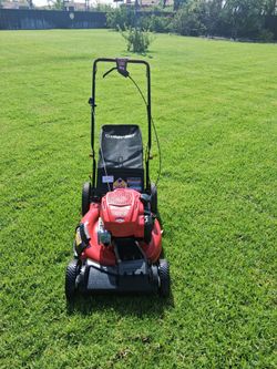 Troy-Bilt Self-Propelled Briggs and Stratton Engine