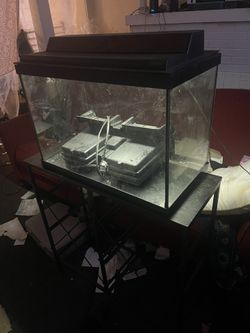 20 Gallon Fish Tank 