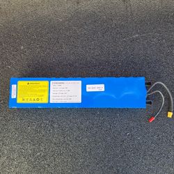 ELECTRIC SCOOTER BATTERY