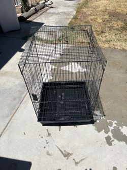 Cage
