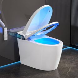 LALIFOY Smart Toilet with Bidet Built in - with Auto Soft Open&Close, Auto Flush One Piece Toilet with Remote, Instant Warm Water & Air Dryer, Heated