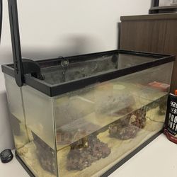 10gal Aquarium + Fiji Pinks Sand + Live Rock