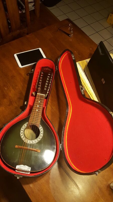Bandurria (14 string) guitar with hard case