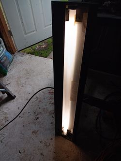 Wall Lamp