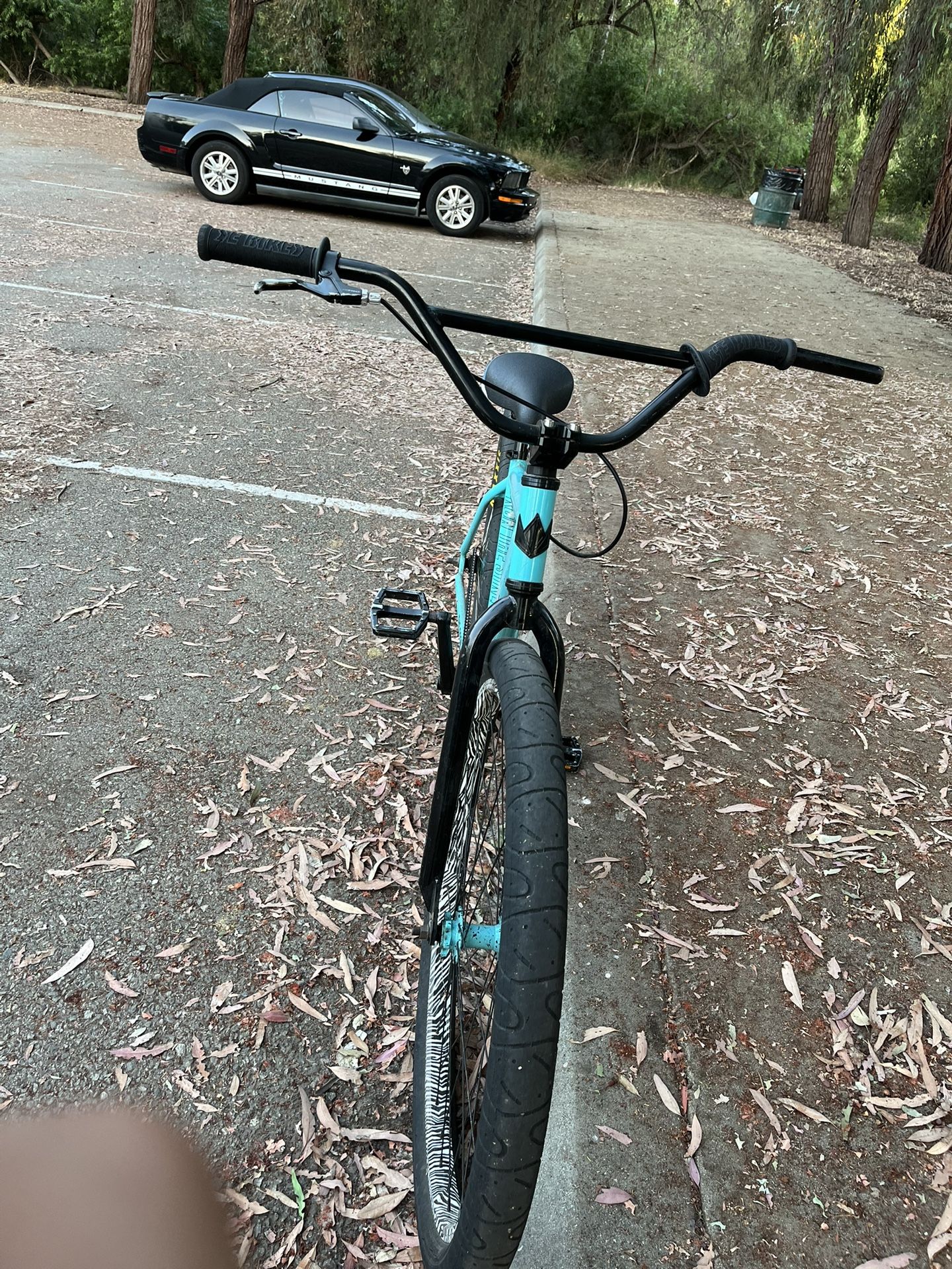 Tiffany Throne 29er freewheel