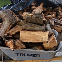 🔥 Dry Almond  Firewood 🔥 