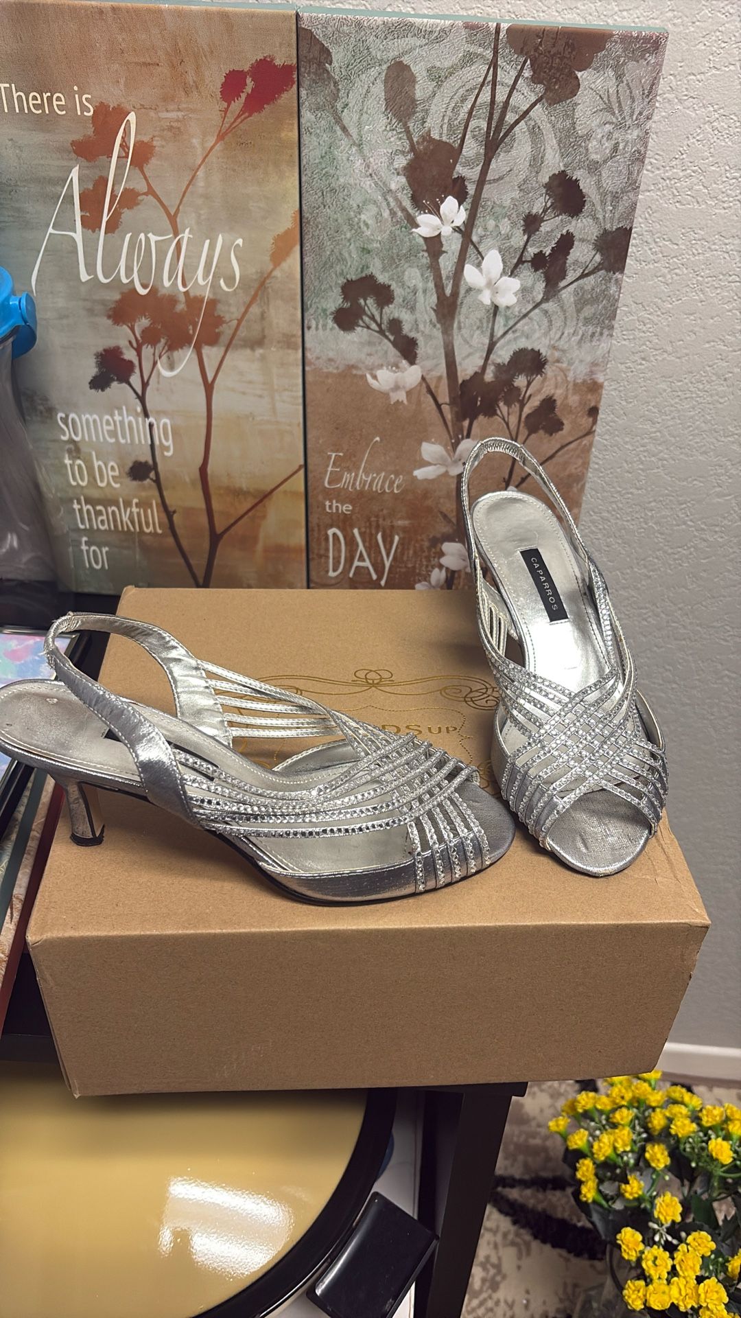 Silver Heels