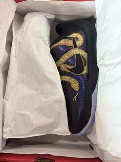 Kobe V Protro- Year Of The Mamba- Size 10