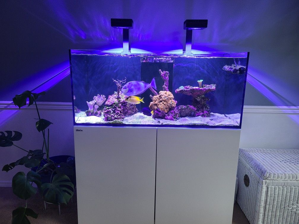 Red Sea Reefer 350 $3500