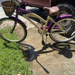 Beach Cruiser 24”