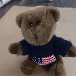 Brown Teddy Bear  with Removable American Flag T-shirt
