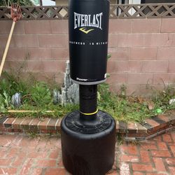 Everlast Boxing Stand