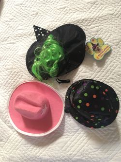 Pet dog clothes costume hat