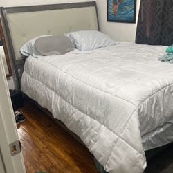 Queen Size Bed Frame And Queen Box Spring
