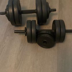 Sunny Brand Weights 
