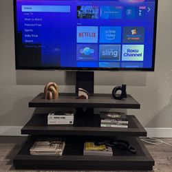 TV Stand and Plasma TV 