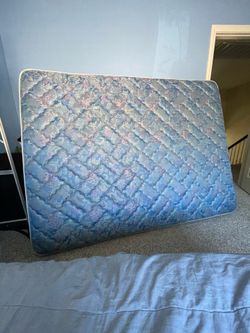 Free queen sized bed need gone