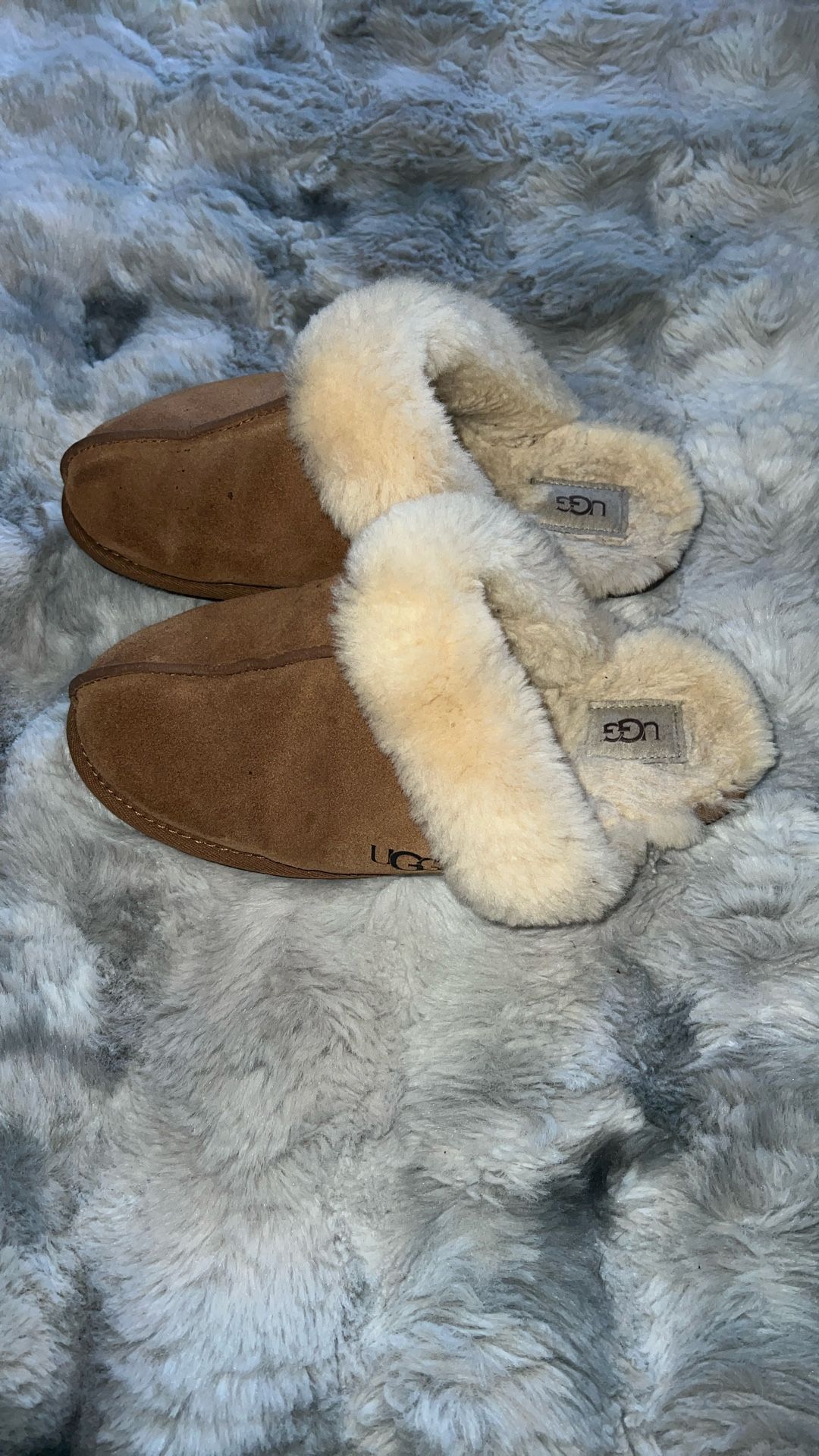 UGG Slippers 