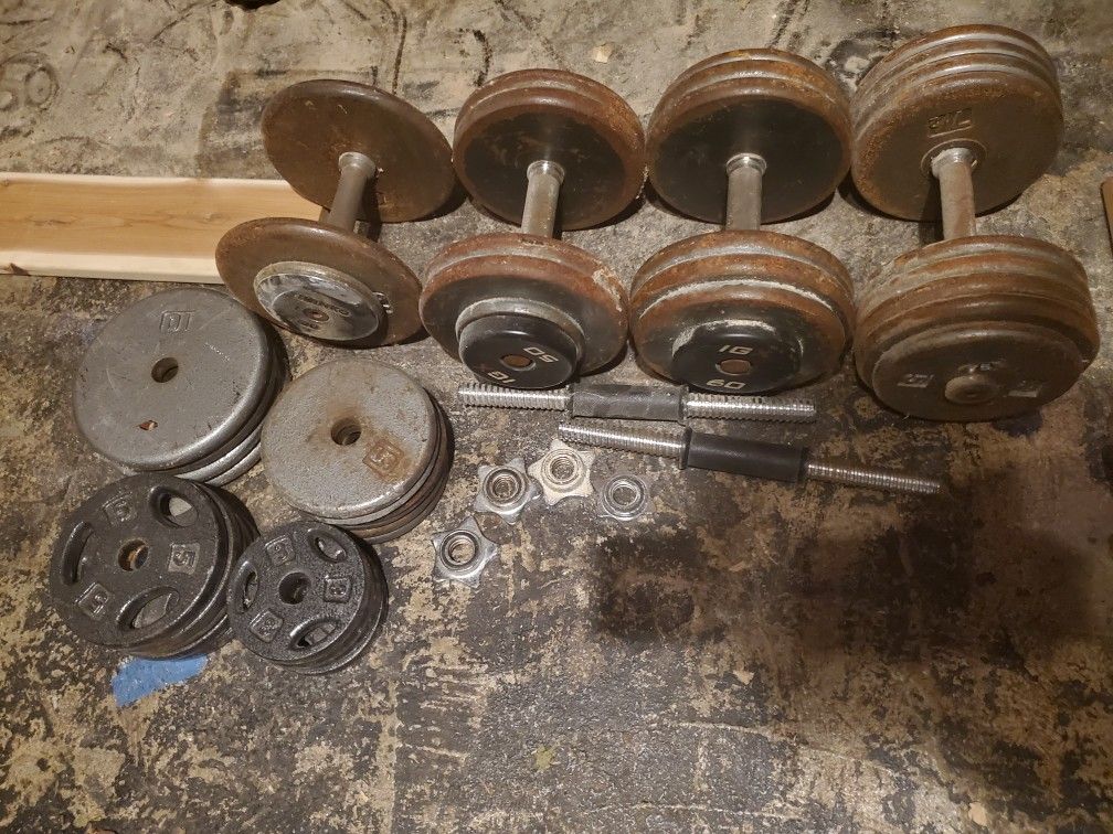 Dumbells + 300lbs of weights