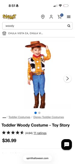 Kids woody costume